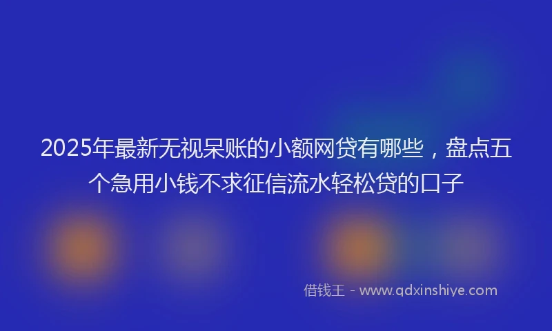 2025年最新无视呆账的小额网贷有哪些，盘点五个急用小钱不求征信流水轻松贷的口子