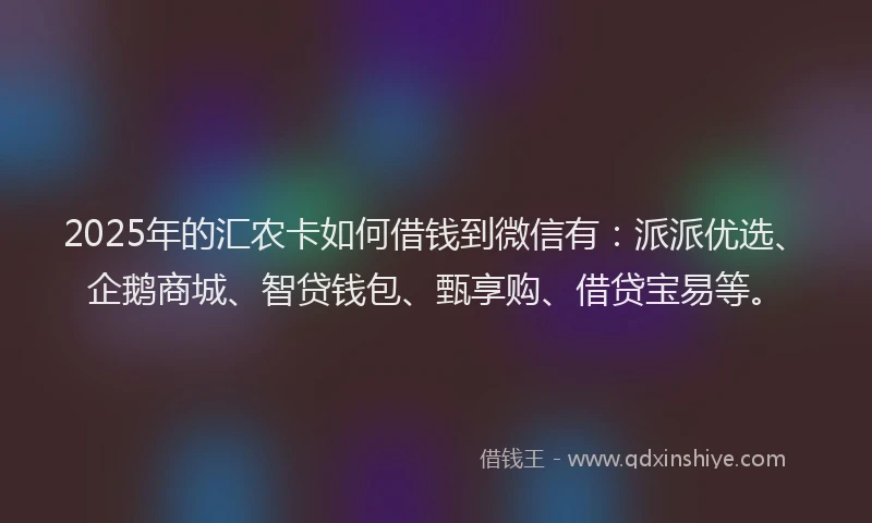 2025年的汇农卡如何借钱到微信有：派派优选、企鹅商城、智贷钱包、甄享购、借贷宝易等。