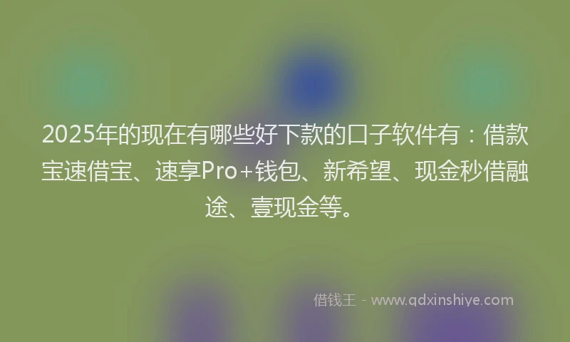 2025年的现在有哪些好下款的口子软件有：借款宝速借宝、速享Pro+钱包、新希望、现金秒借融途、壹现金等。