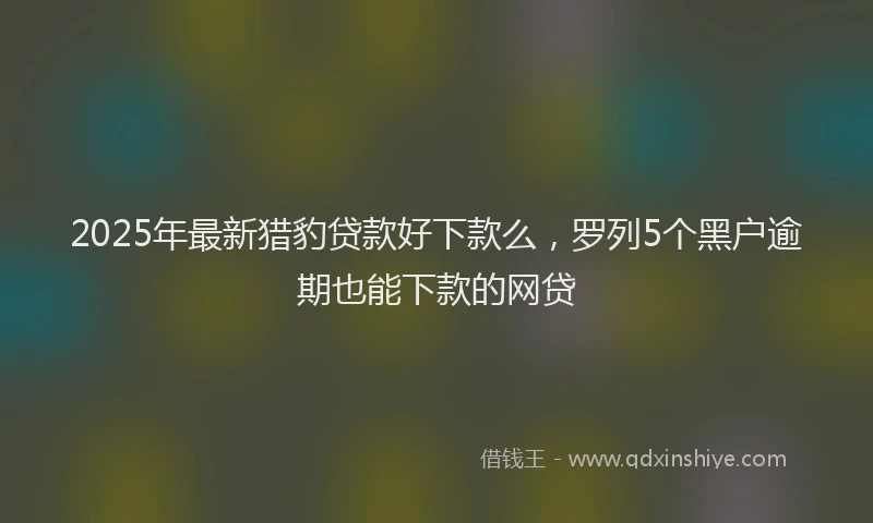 2025年最新猎豹贷款好下款么，罗列5个黑户逾期也能下款的网贷