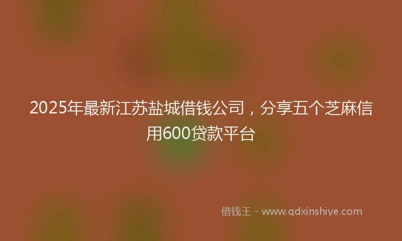 2025年最新江苏盐城借钱公司，分享五个芝麻信用600贷款平台
