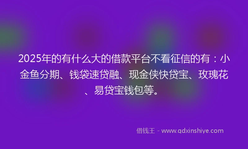 2025年的有什么大的借款平台不看征信的有：小金鱼分期、钱袋速贷融、现金侠快贷宝、玫瑰花、易贷宝钱包等。