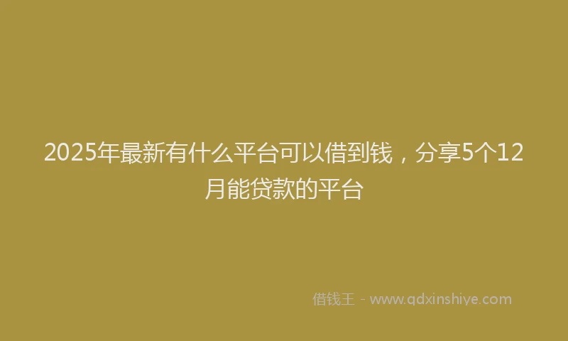 2025年最新有什么平台可以借到钱，分享5个12月能贷款的平台