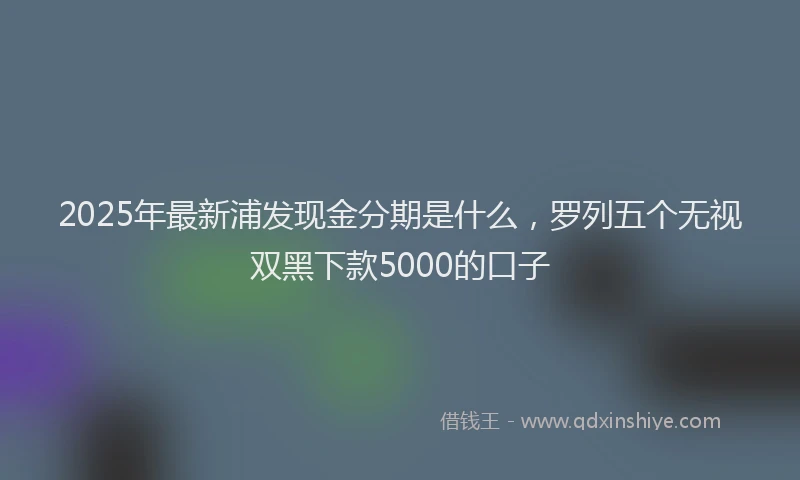 2025年最新浦发现金分期是什么，罗列五个无视双黑下款5000的口子