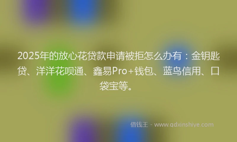 2025年的放心花贷款申请被拒怎么办有：金钥匙贷、洋洋花呗通、鑫易Pro+钱包、蓝鸟信用、口袋宝等。