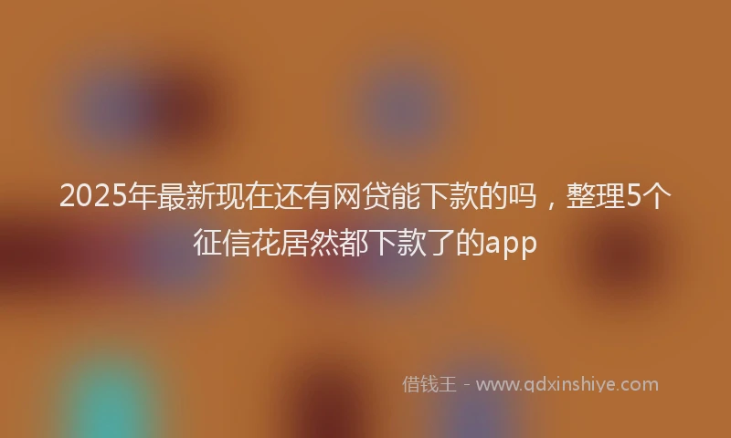 2025年最新现在还有网贷能下款的吗，整理5个征信花居然都下款了的app