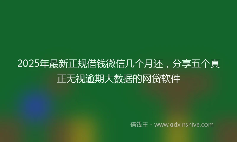 2025年最新正规借钱微信几个月还，分享五个真正无视逾期大数据的网贷软件