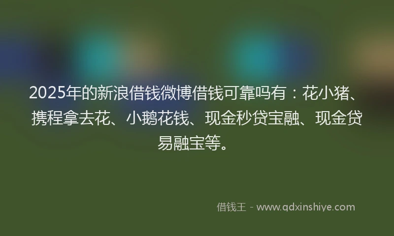 2025年的新浪借钱微博借钱可靠吗有：花小猪、携程拿去花、小鹅花钱、现金秒贷宝融、现金贷易融宝等。