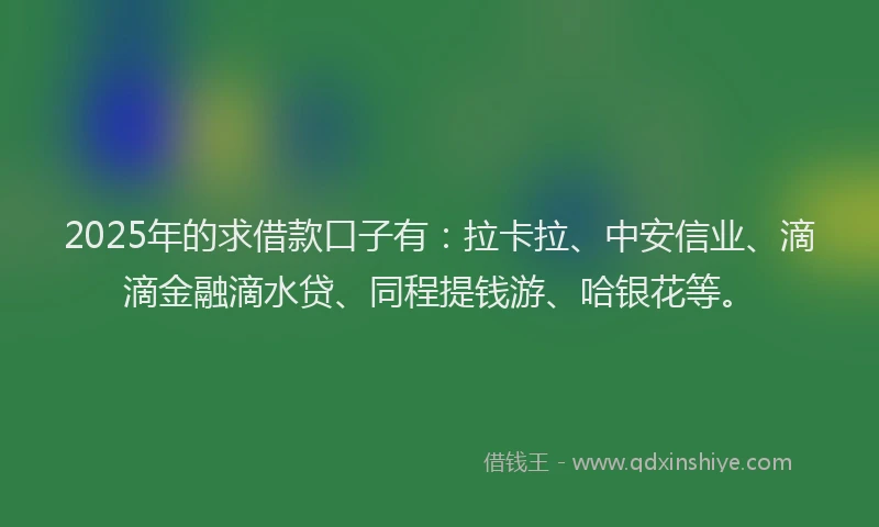 2025年的求借款口子有：拉卡拉、中安信业、滴滴金融滴水贷、同程提钱游、哈银花等。