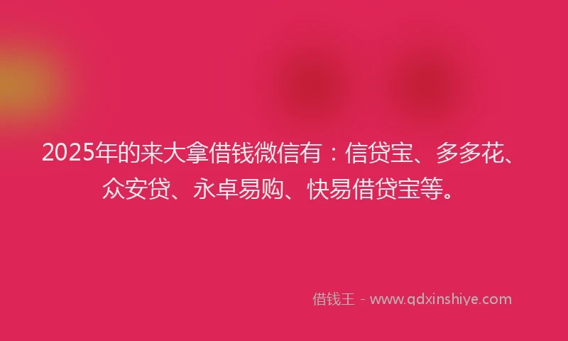 2025年的来大拿借钱微信有：信贷宝、多多花、众安贷、永卓易购、快易借贷宝等。