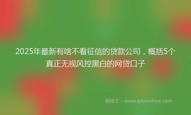 2025年最新有啥不看征信的贷款公司，概括5个真正无视风控黑白的网贷口子