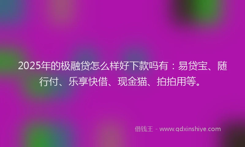 2025年的极融贷怎么样好下款吗有：易贷宝、随行付、乐享快借、现金猫、拍拍用等。