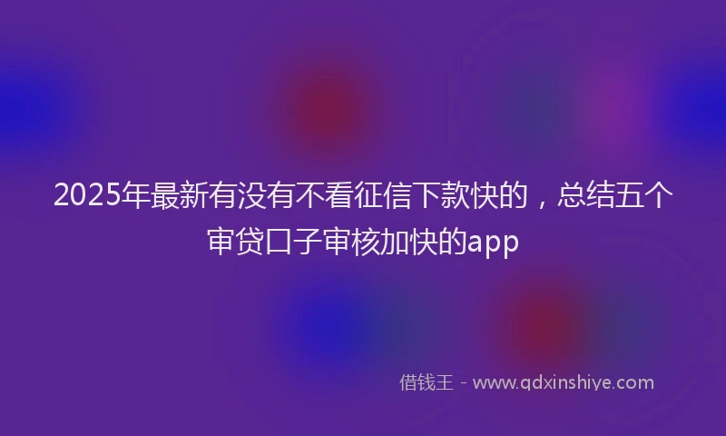 2025年最新有没有不看征信下款快的，总结五个审贷口子审核加快的app