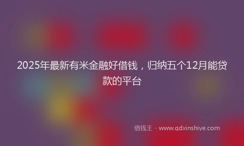 2025年最新有米金融好借钱，归纳五个12月能贷款的平台