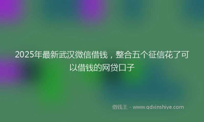 2025年最新武汉微信借钱，整合五个征信花了可以借钱的网贷口子