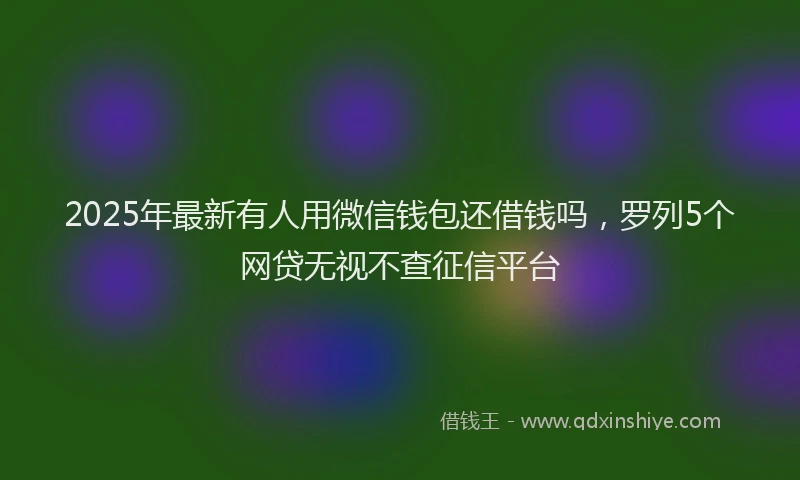 2025年最新有人用微信钱包还借钱吗，罗列5个网贷无视不查征信平台