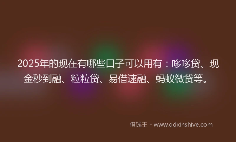 2025年的现在有哪些口子可以用有：哆哆贷、现金秒到融、粒粒贷、易借速融、蚂蚁微贷等。