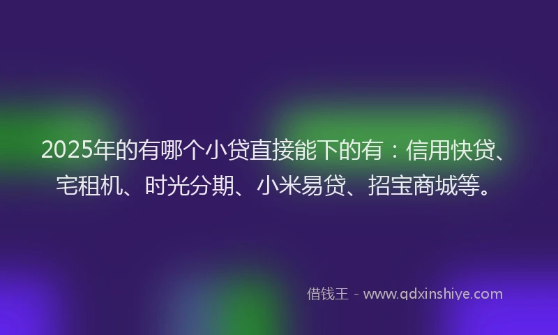 2025年的有哪个小贷直接能下的有：信用快贷、宅租机、时光分期、小米易贷、招宝商城等。