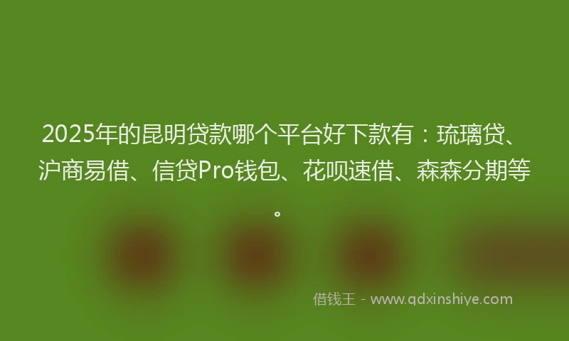 2025年的昆明贷款哪个平台好下款有：琉璃贷、沪商易借、信贷Pro钱包、花呗速借、森森分期等。