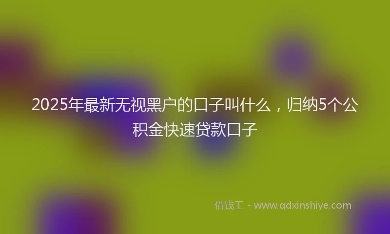 2025年最新无视黑户的口子叫什么，归纳5个公积金快速贷款口子