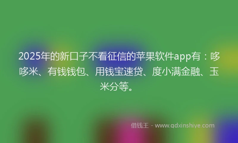 2025年的新口子不看征信的苹果软件app有：哆哆米、有钱钱包、用钱宝速贷、度小满金融、玉米分等。