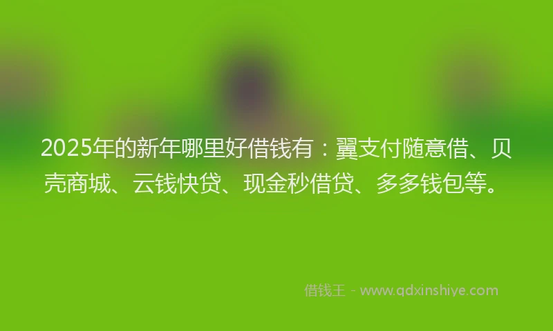 2025年的新年哪里好借钱有：翼支付随意借、贝壳商城、云钱快贷、现金秒借贷、多多钱包等。