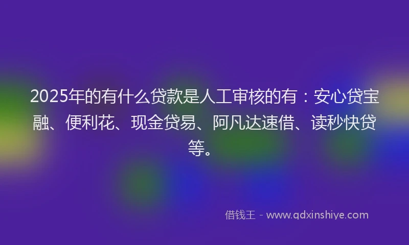 2025年的有什么贷款是人工审核的有：安心贷宝融、便利花、现金贷易、阿凡达速借、读秒快贷等。
