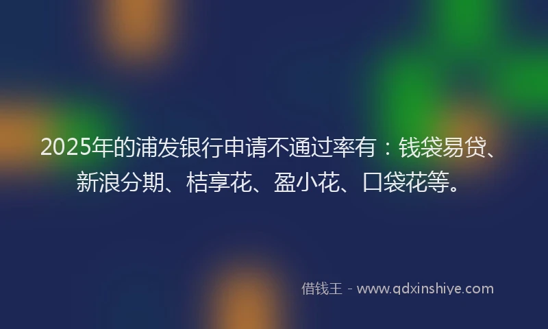 2025年的浦发银行申请不通过率有：钱袋易贷、新浪分期、桔享花、盈小花、口袋花等。