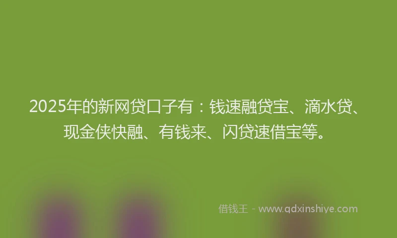 2025年的新网贷口子有：钱速融贷宝、滴水贷、现金侠快融、有钱来、闪贷速借宝等。