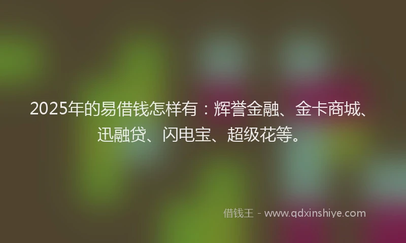 2025年的易借钱怎样有：辉誉金融、金卡商城、迅融贷、闪电宝、超级花等。