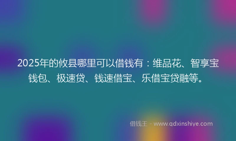 2025年的攸县哪里可以借钱有：维品花、智享宝钱包、极速贷、钱速借宝、乐借宝贷融等。