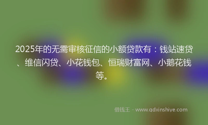 2025年的无需审核征信的小额贷款有：钱站速贷、维信闪贷、小花钱包、恒瑞财富网、小鹅花钱等。