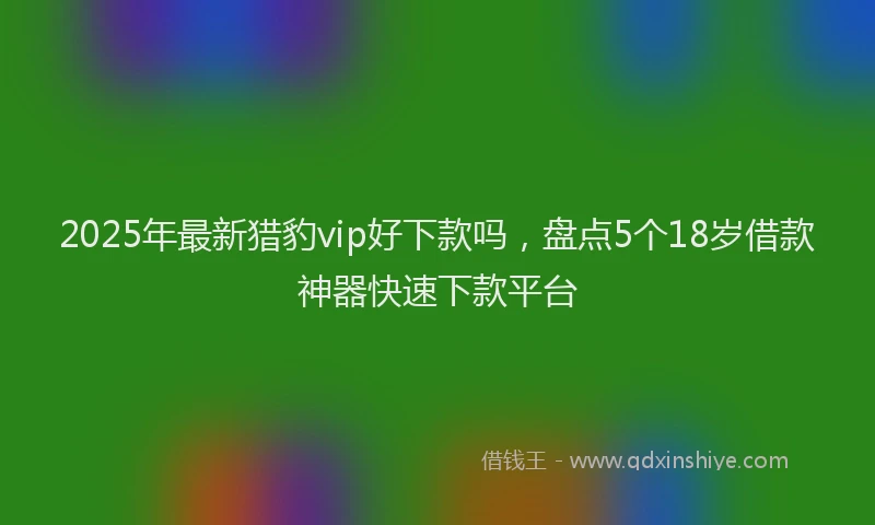 2025年最新猎豹vip好下款吗，盘点5个18岁借款神器快速下款平台