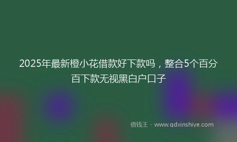 2025年最新橙小花借款好下款吗，整合5个百分百下款无视黑白户口子