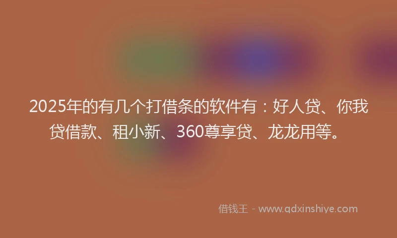 2025年的有几个打借条的软件有：好人贷、你我贷借款、租小新、360尊享贷、龙龙用等。