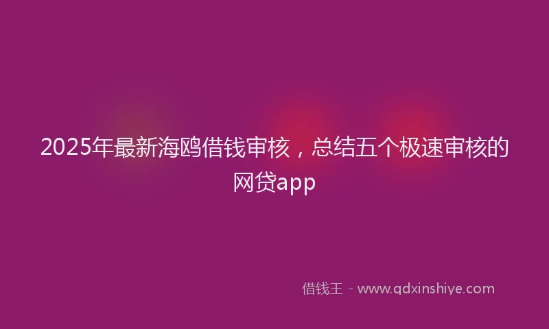 2025年最新海鸥借钱审核，总结五个极速审核的网贷app