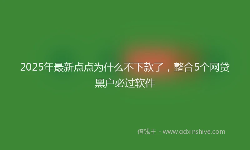 2025年最新点点为什么不下款了，整合5个网贷黑户必过软件