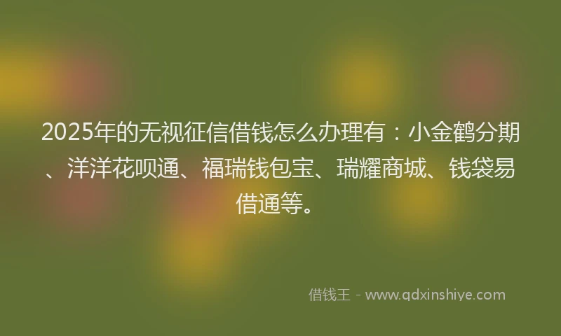 2025年的无视征信借钱怎么办理有：小金鹤分期、洋洋花呗通、福瑞钱包宝、瑞耀商城、钱袋易借通等。