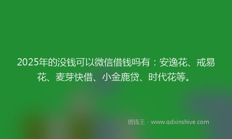 2025年的没钱可以微信借钱吗有：安逸花、戒易花、麦芽快借、小金鹿贷、时代花等。