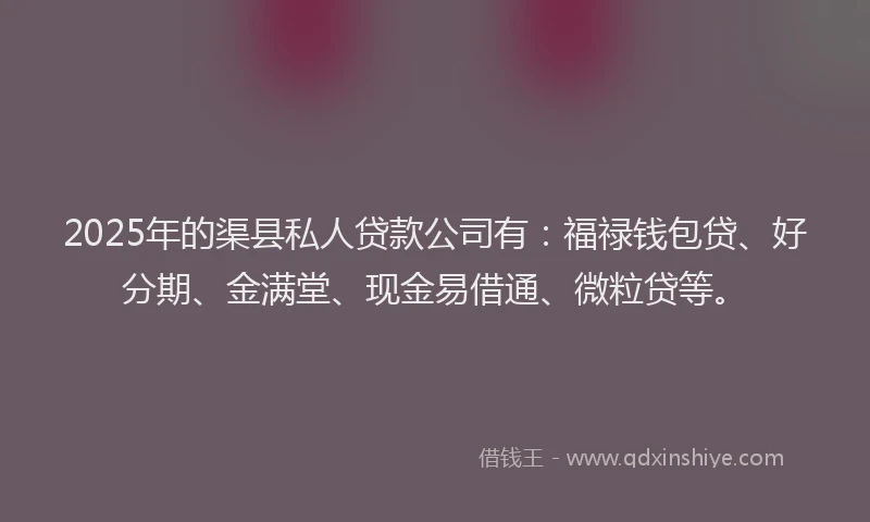 2025年的渠县私人贷款公司有：福禄钱包贷、好分期、金满堂、现金易借通、微粒贷等。