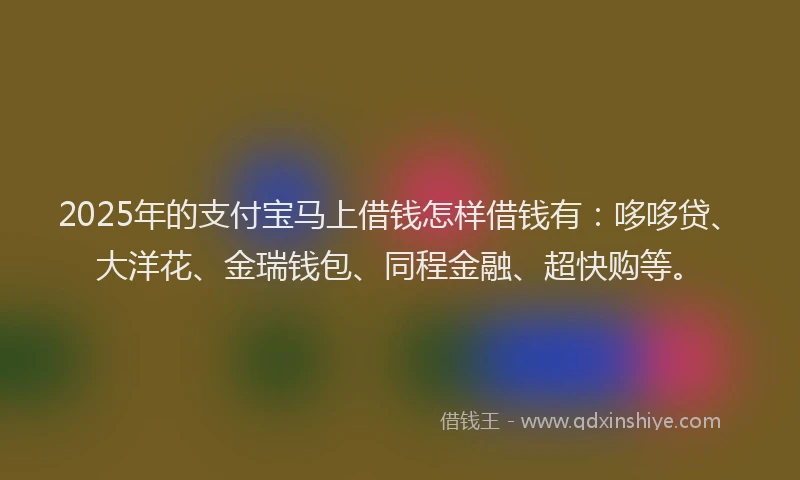 2025年的支付宝马上借钱怎样借钱有：哆哆贷、大洋花、金瑞钱包、同程金融、超快购等。