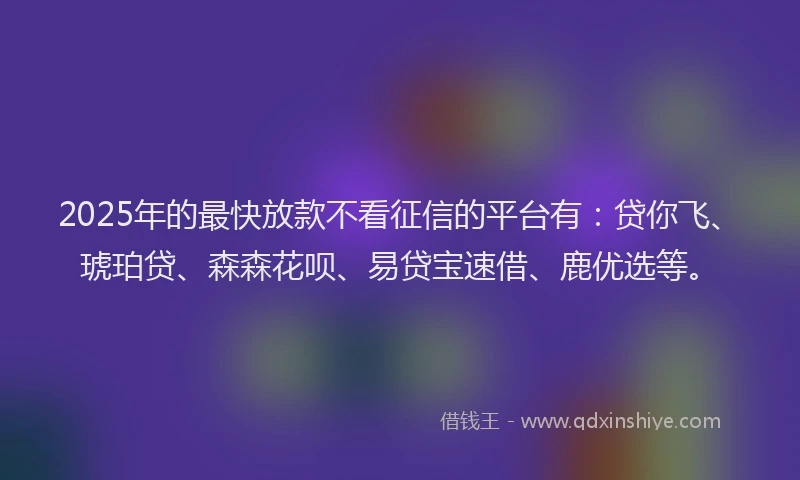 2025年的最快放款不看征信的平台有：贷你飞、琥珀贷、森森花呗、易贷宝速借、鹿优选等。
