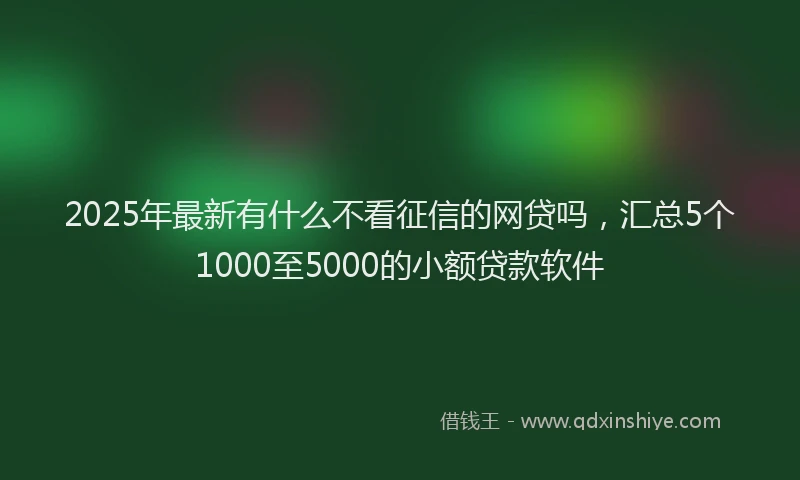 2025年最新有什么不看征信的网贷吗，汇总5个1000至5000的小额贷款软件