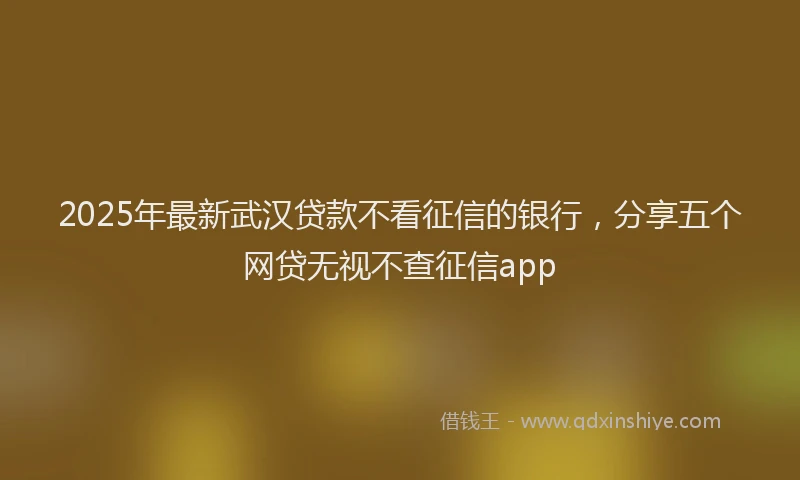 2025年最新武汉贷款不看征信的银行，分享五个网贷无视不查征信app