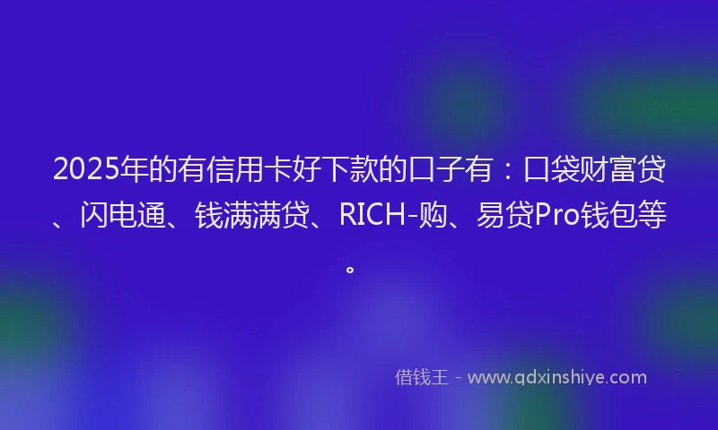 2025年的有信用卡好下款的口子有：口袋财富贷、闪电通、钱满满贷、RICH-购、易贷Pro钱包等。