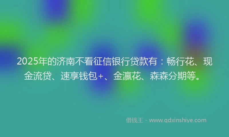 2025年的济南不看征信银行贷款有：畅行花、现金流贷、速享钱包+、金瀛花、森森分期等。