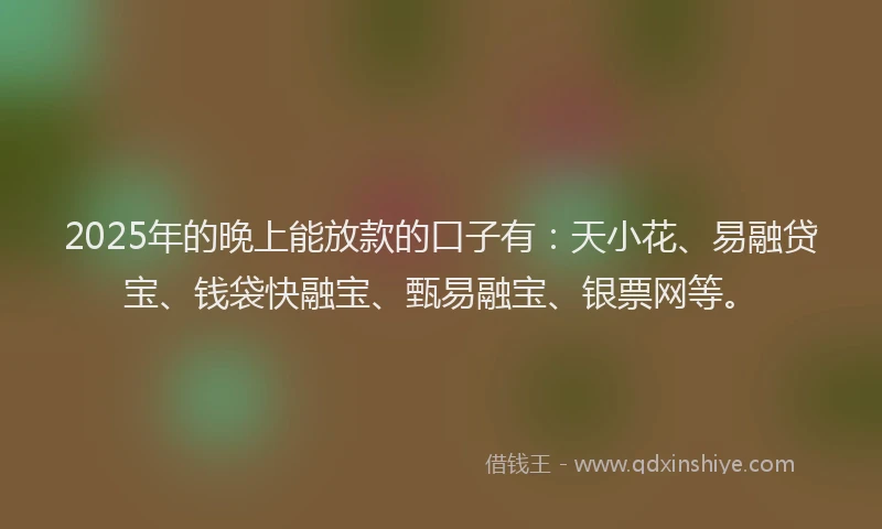 2025年的晚上能放款的口子有：天小花、易融贷宝、钱袋快融宝、甄易融宝、银票网等。
