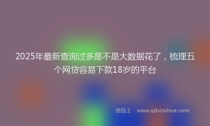 2025年最新查询过多是不是大数据花了，梳理五个网贷容易下款18岁的平台