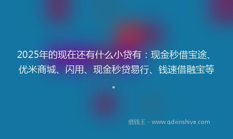 2025年的现在还有什么小贷有：现金秒借宝途、优米商城、闪用、现金秒贷易行、钱速借融宝等。