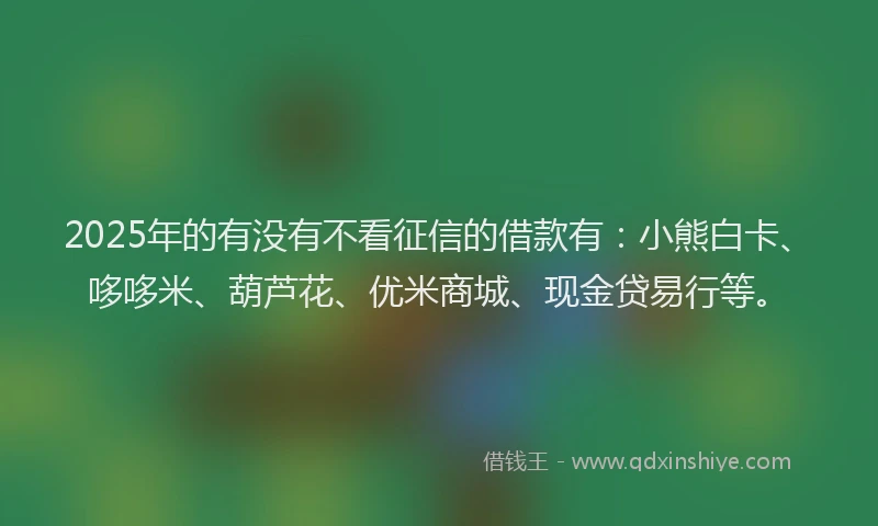 2025年的有没有不看征信的借款有：小熊白卡、哆哆米、葫芦花、优米商城、现金贷易行等。
